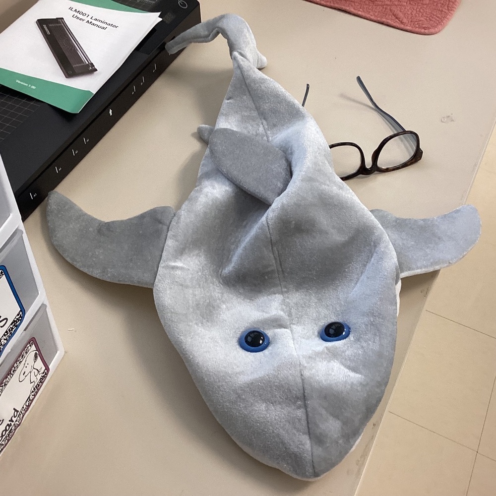 ❤️Shark Hat (Bundle 2 for $10)
